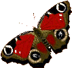 38152/p21621083_20455.gif